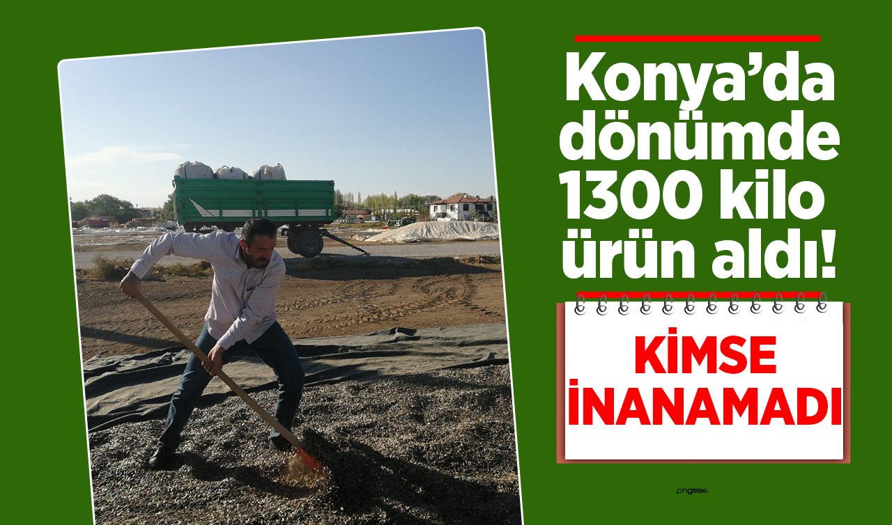 Konya’da dönümde 1300 kilo ürün aldı! Kimse inanamadı 