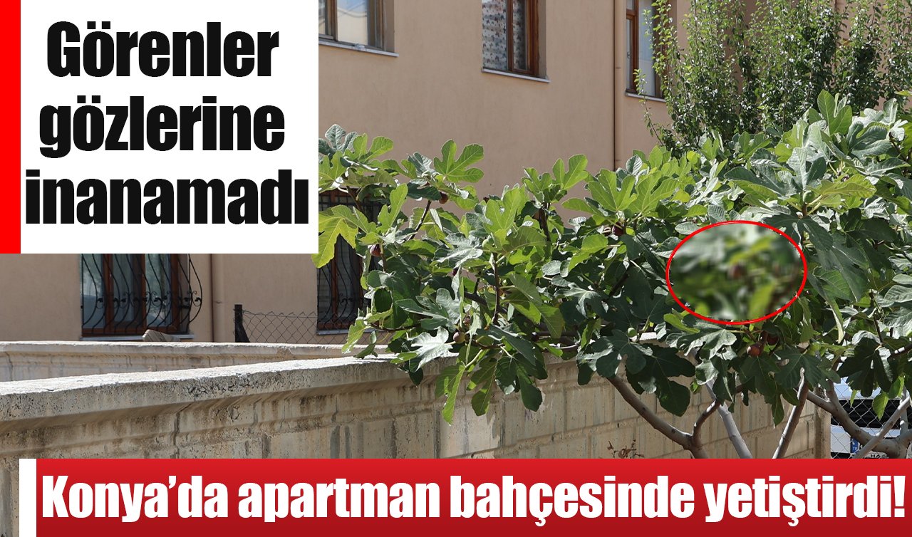 Konya’da imkânsız denilen oldu! Görenler gözlerine inanamadı