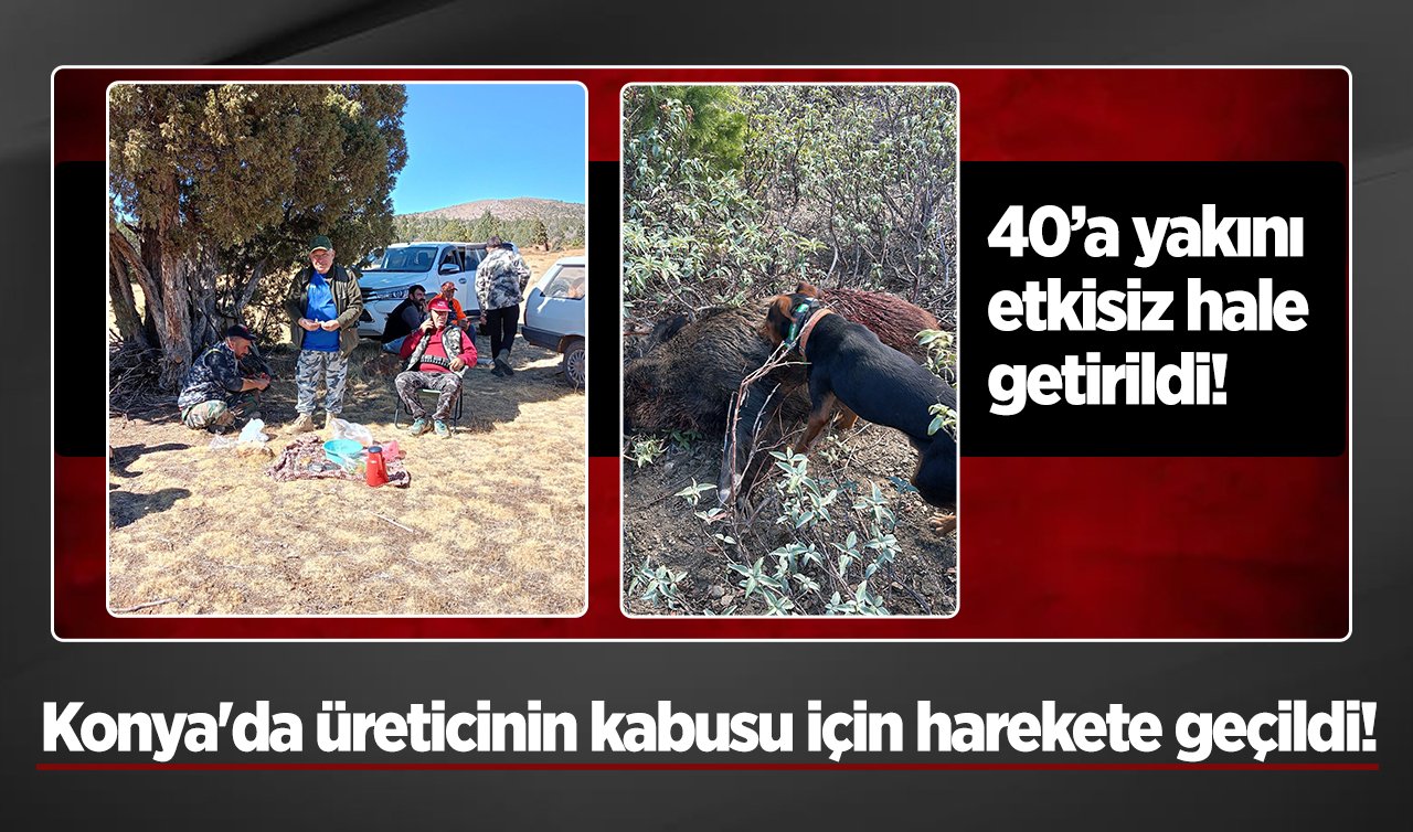 Konya’da üreticinin kabusu için harekete geçildi! 40’a yakını etkisiz hale getirildi!