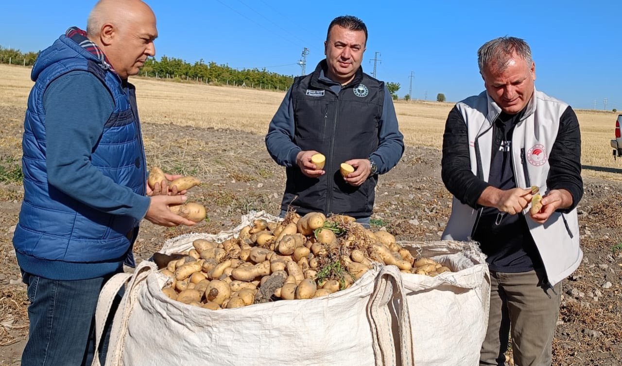 Beyşehir’de patates hasadı sürüyor