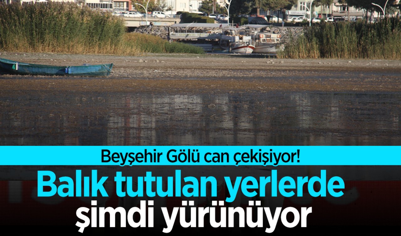 Beyşehir Gölü can çekişiyor! Balık tutulan yerlerde şimdi yürünüyor