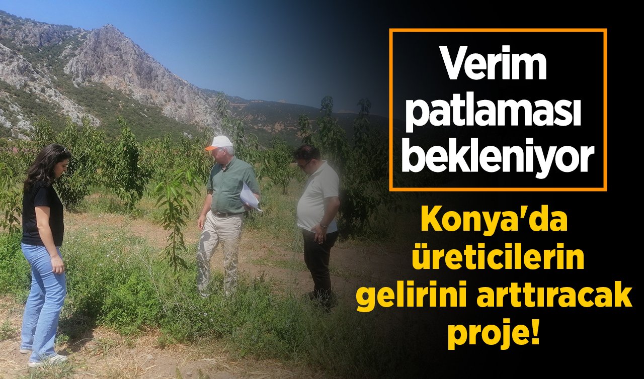 Konya’da üreticilerin gelirini arttıracak proje! Verim patlaması bekleniyor 