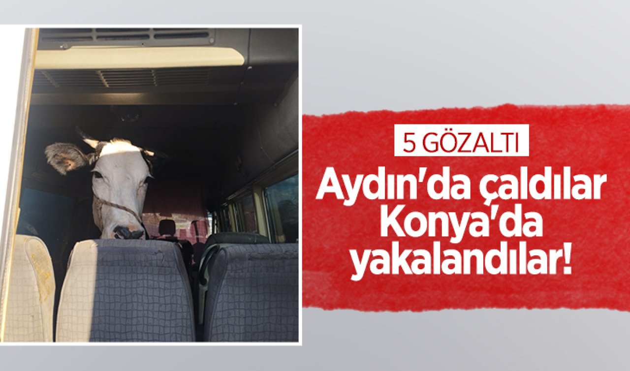 Aydın’da çaldılar Konya’da yakalandılar! 5 gözaltı 