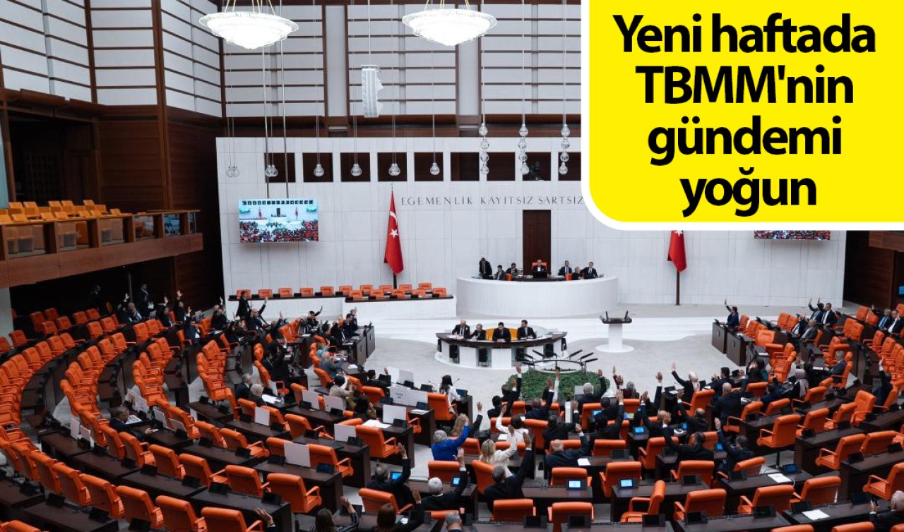 Yeni haftada TBMM’nin gündemi yoğun