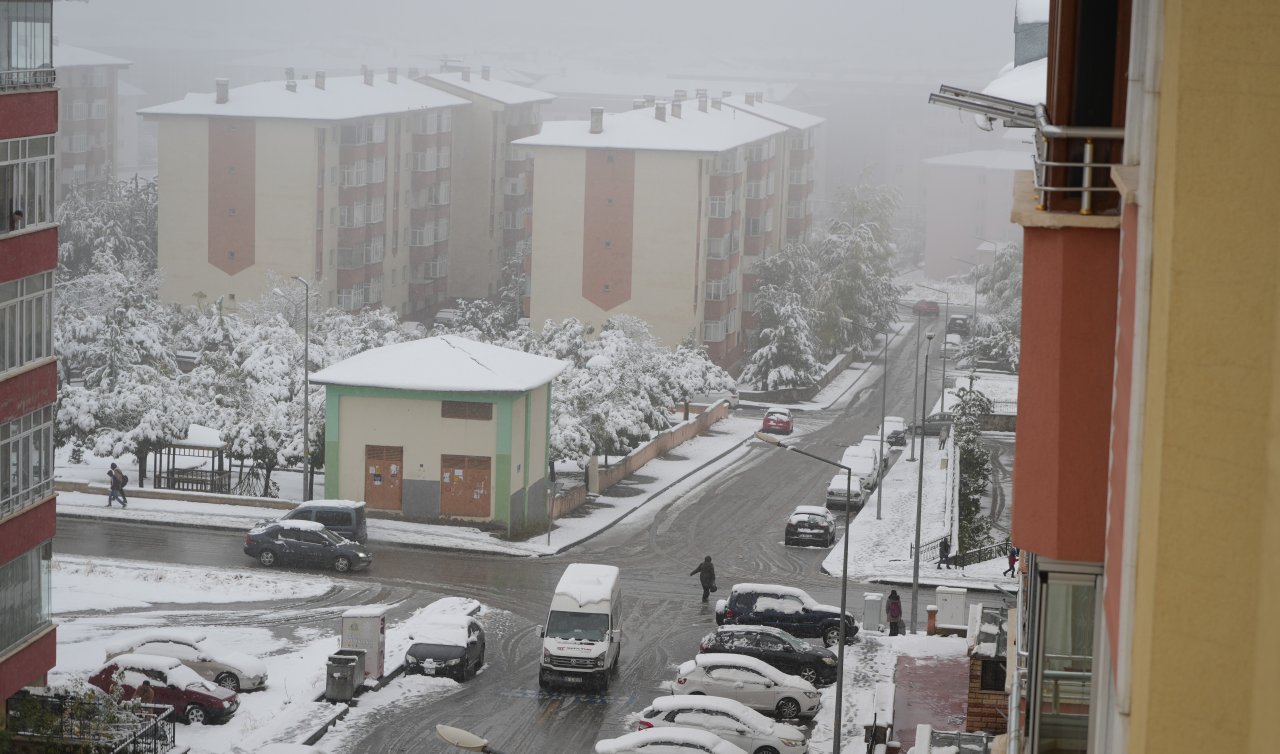 Erzurum güne kar ile uyandı