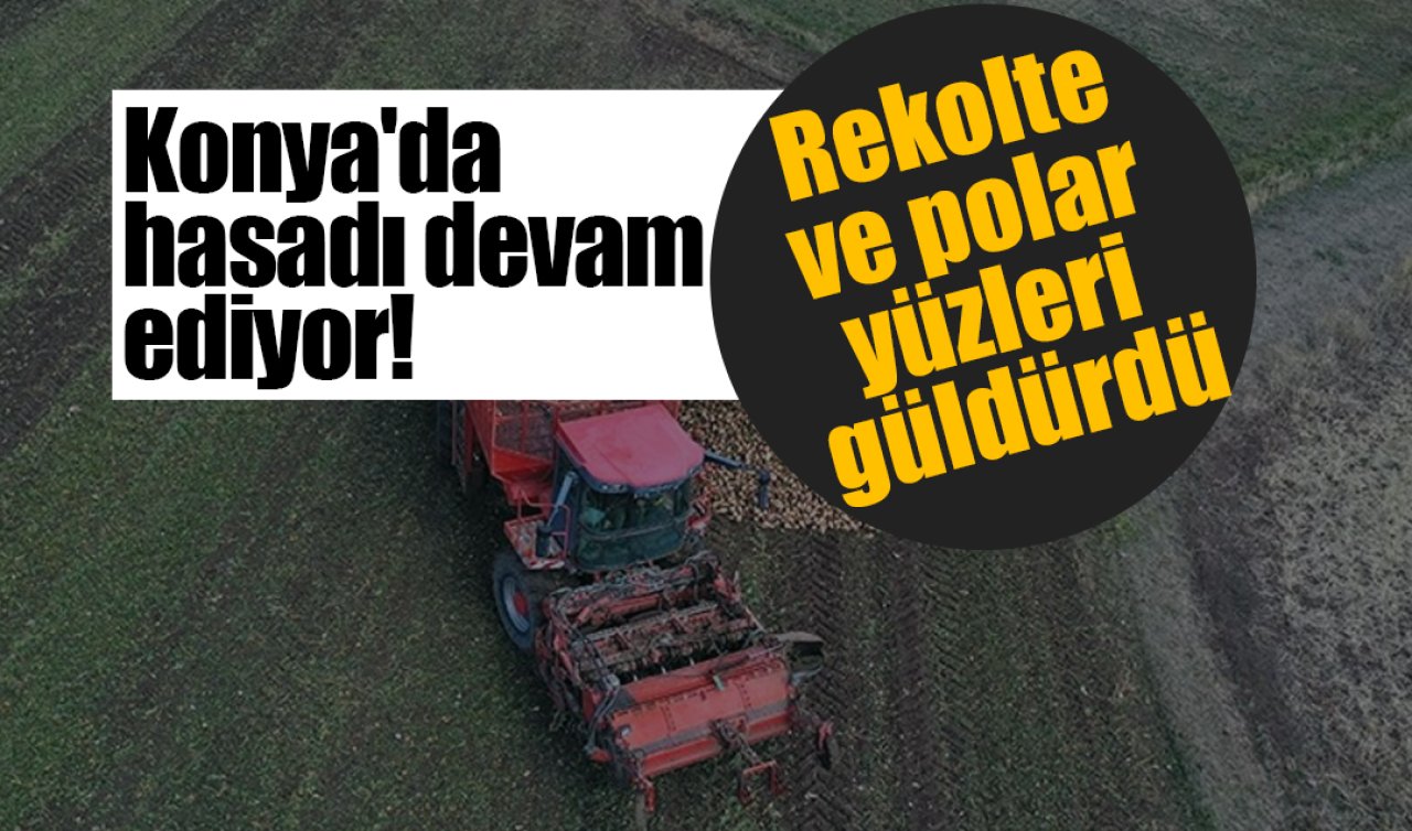 Konya’da hasadı devam ediyor! Rekolte ve polar yüzleri güldürdü