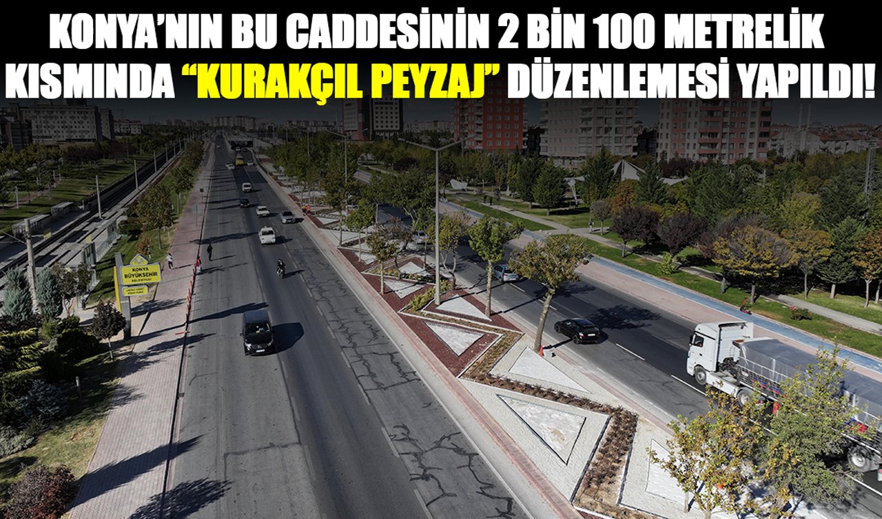 Konya’nın bu caddesinin 2 bin 100 metrelik kısmında “kurakçıl peyzaj” düzenlemesi yapıldı!