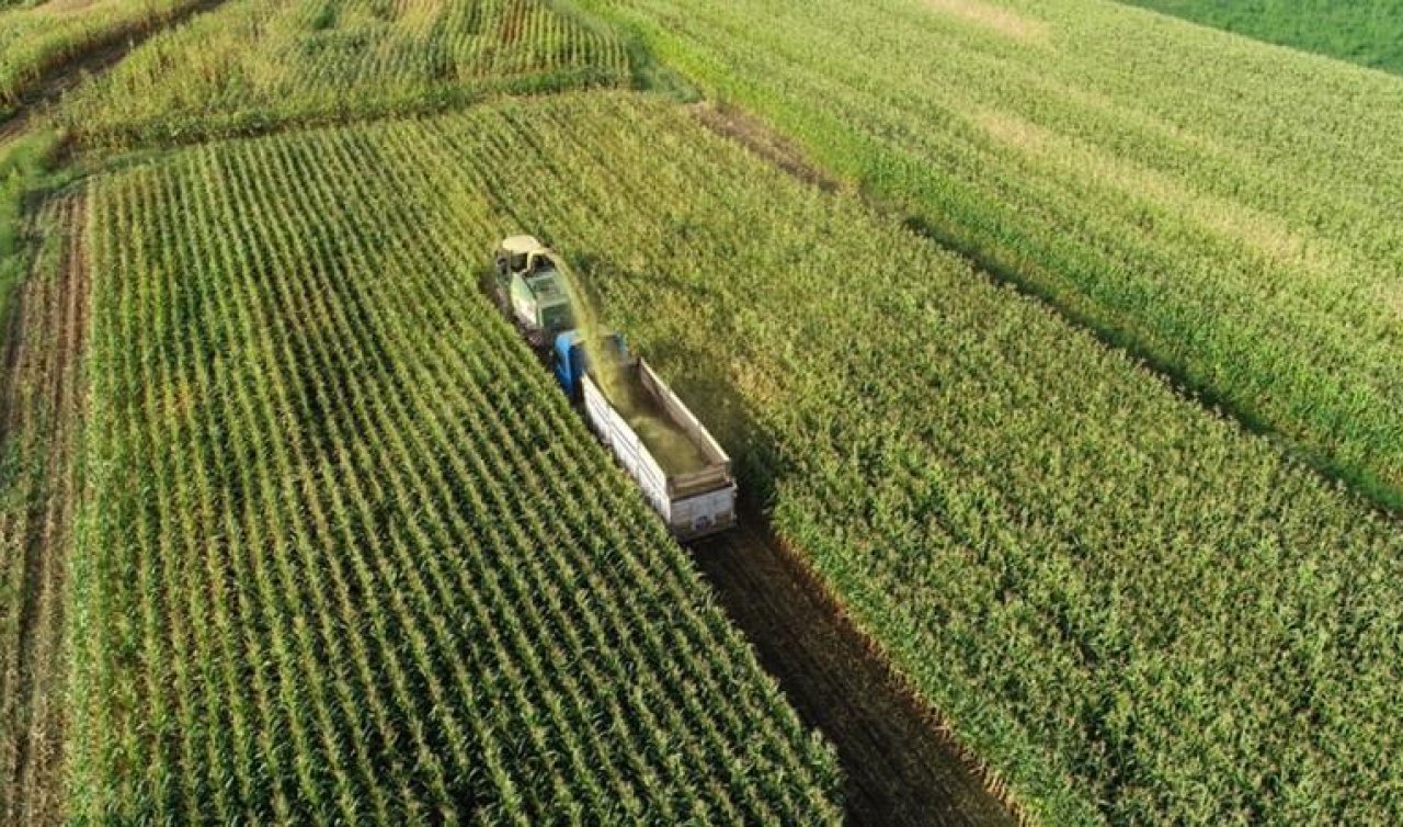 Çiftçilere 471,6 milyon lira destekleme ödemesi bugün yapılacak