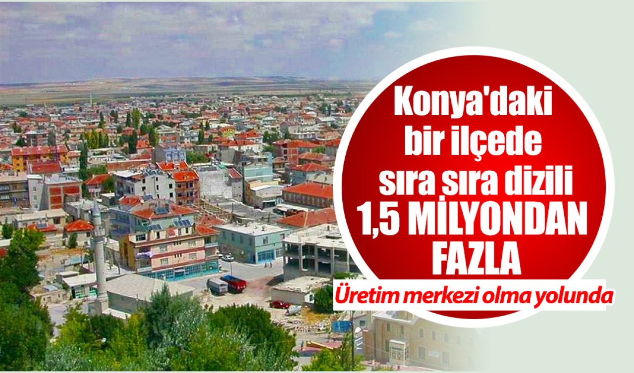 Konya’daki bir ilçe üretim merkezi olmaya hazırlanıyor! Sıra sıra 1,5 milyondan fazla
