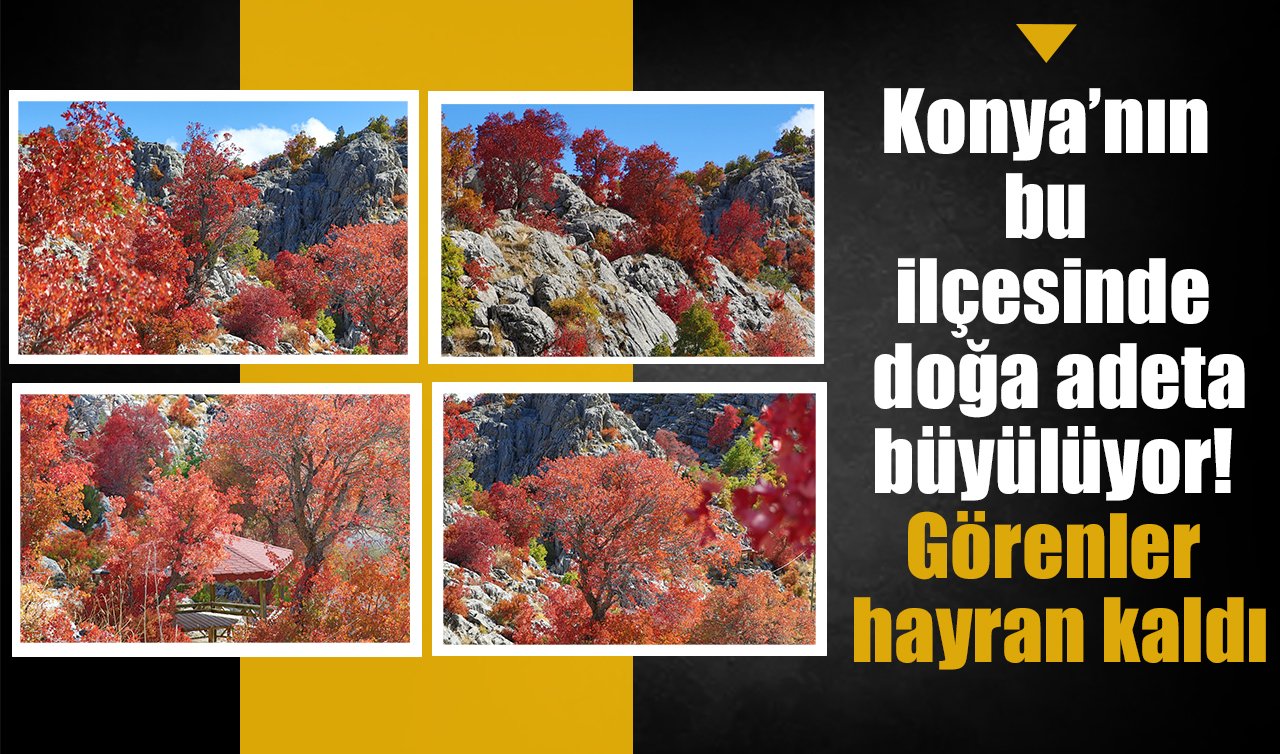 Konya’nın bu ilçesinde doğa adeta büyülüyor! Görenler hayran kaldı
