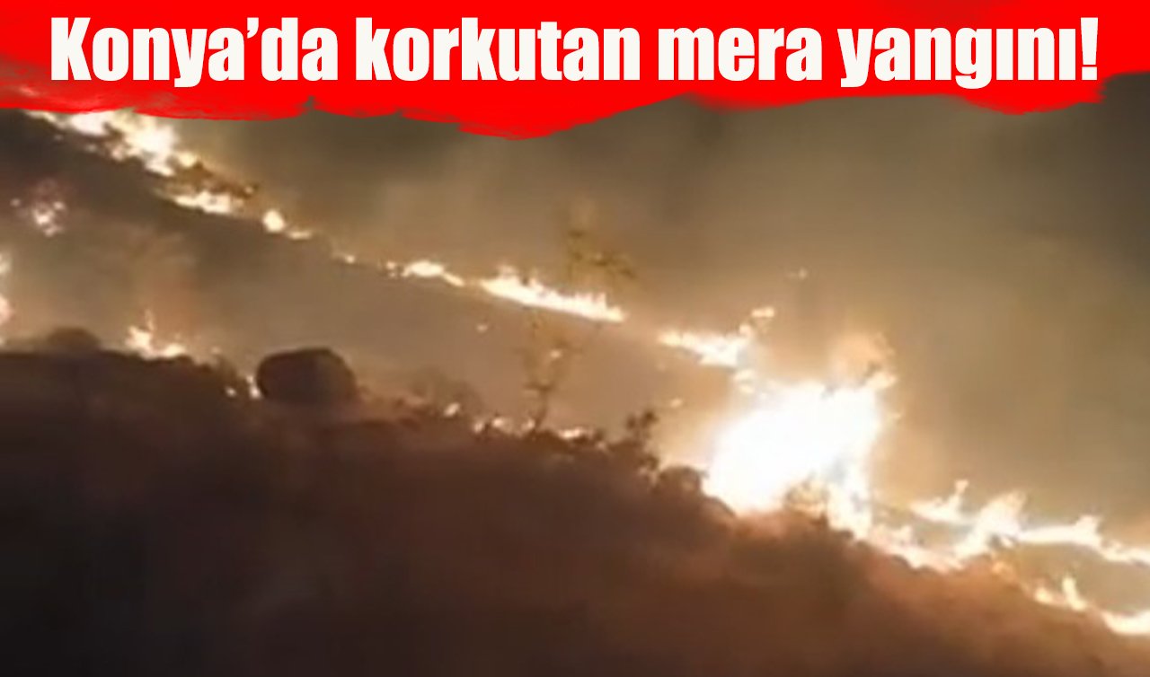 Konya’da korkutan mera yangını!