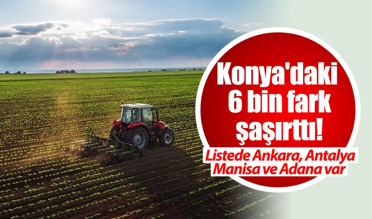 Konya’daki 6 bin fark şaşırttı! Listede Ankara, Antalya, Manisa ve Adana var 