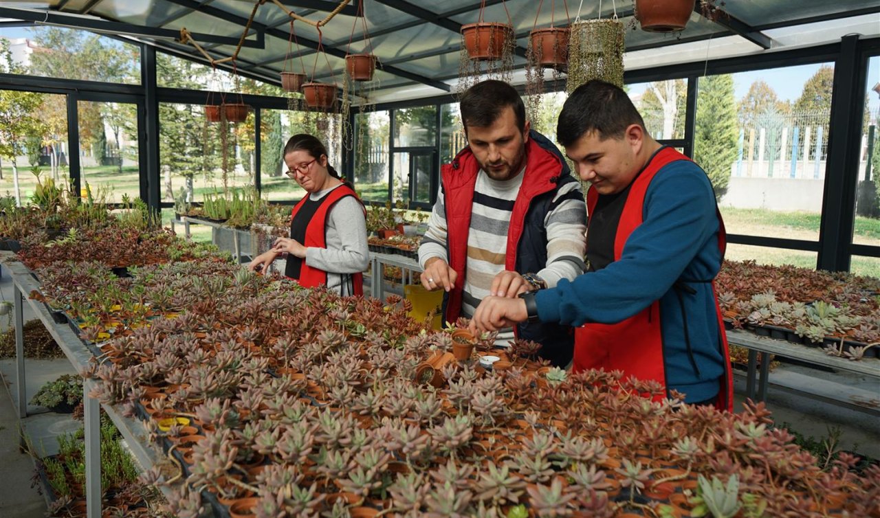 SOBE’den anlamlı proje: Otizmli bireyler sukulent yetiştirip istihdama katılıyor