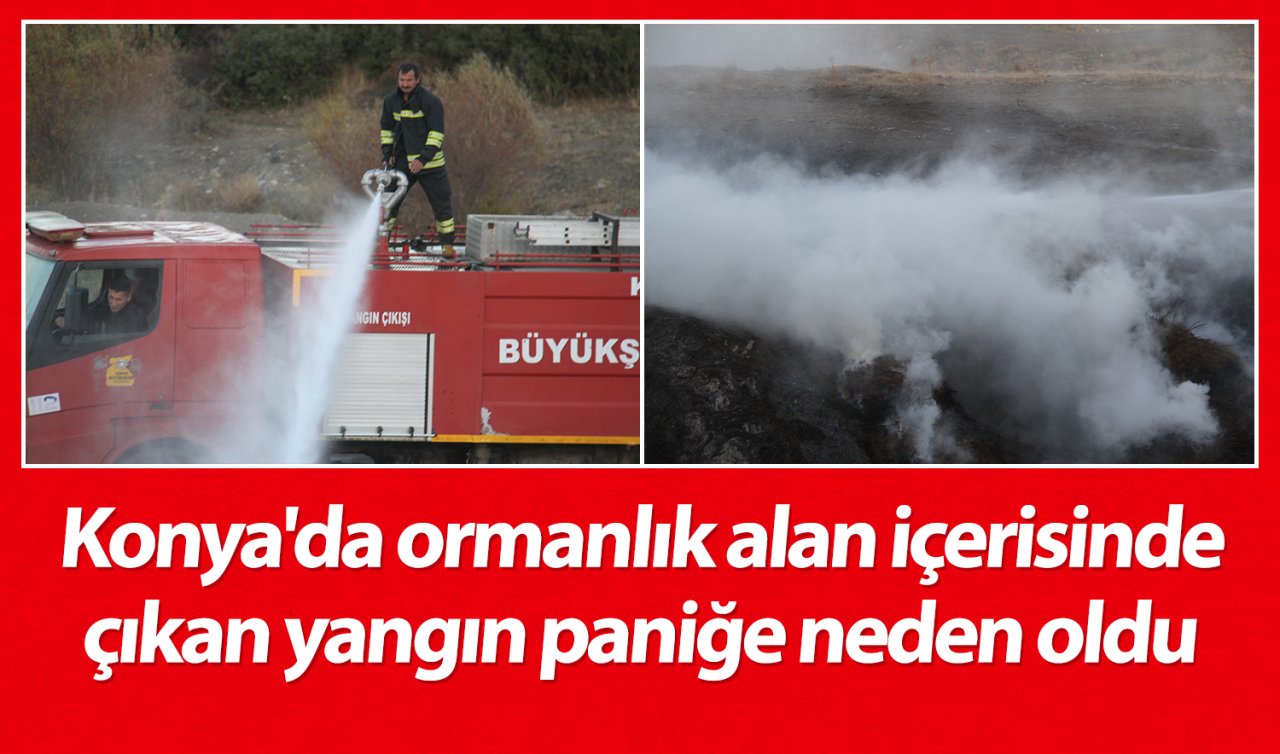 Konya’da ormanlık alan içerisinde çıkan yangın paniğe neden oldu