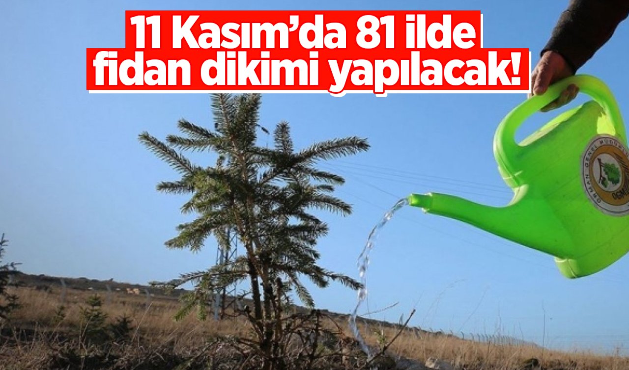11 Kasım’da 81 ilde fidan dikimi yapılacak! Geleceğe Nefes fidan sahiplenme nasıl yapılır? Geleceğe Nefes kampanyası nedir, fidan bağışı nasıl yapılır? 