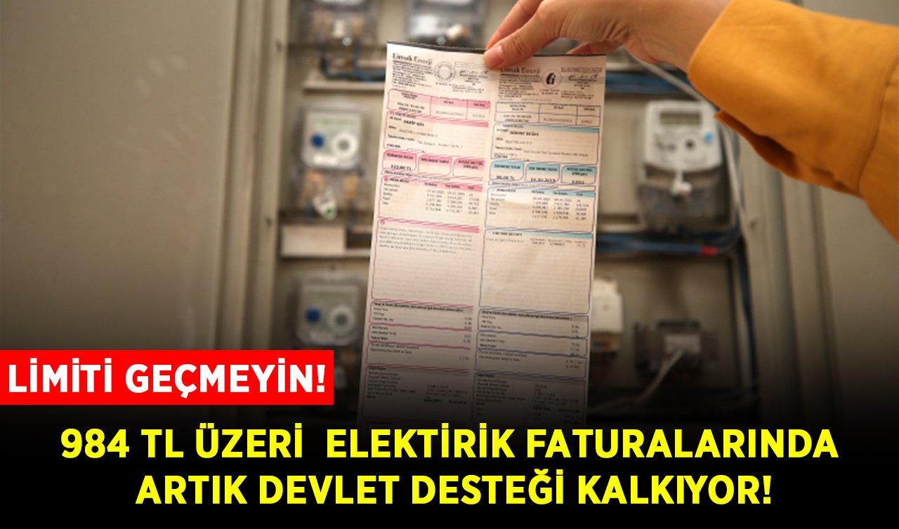 Elektrikte yeni dönem! Devlet desteğinden yararlanamayacak
