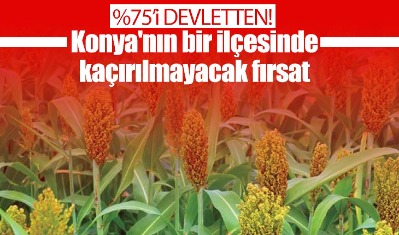 %75’i Devletten! Konya’nın bir ilçesinde kaçırılmayacak fırsat