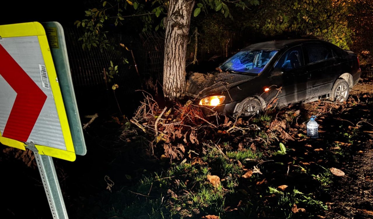 Kontrolden çıkan otomobil ağaca çarptı: 3 kişi yaralandı