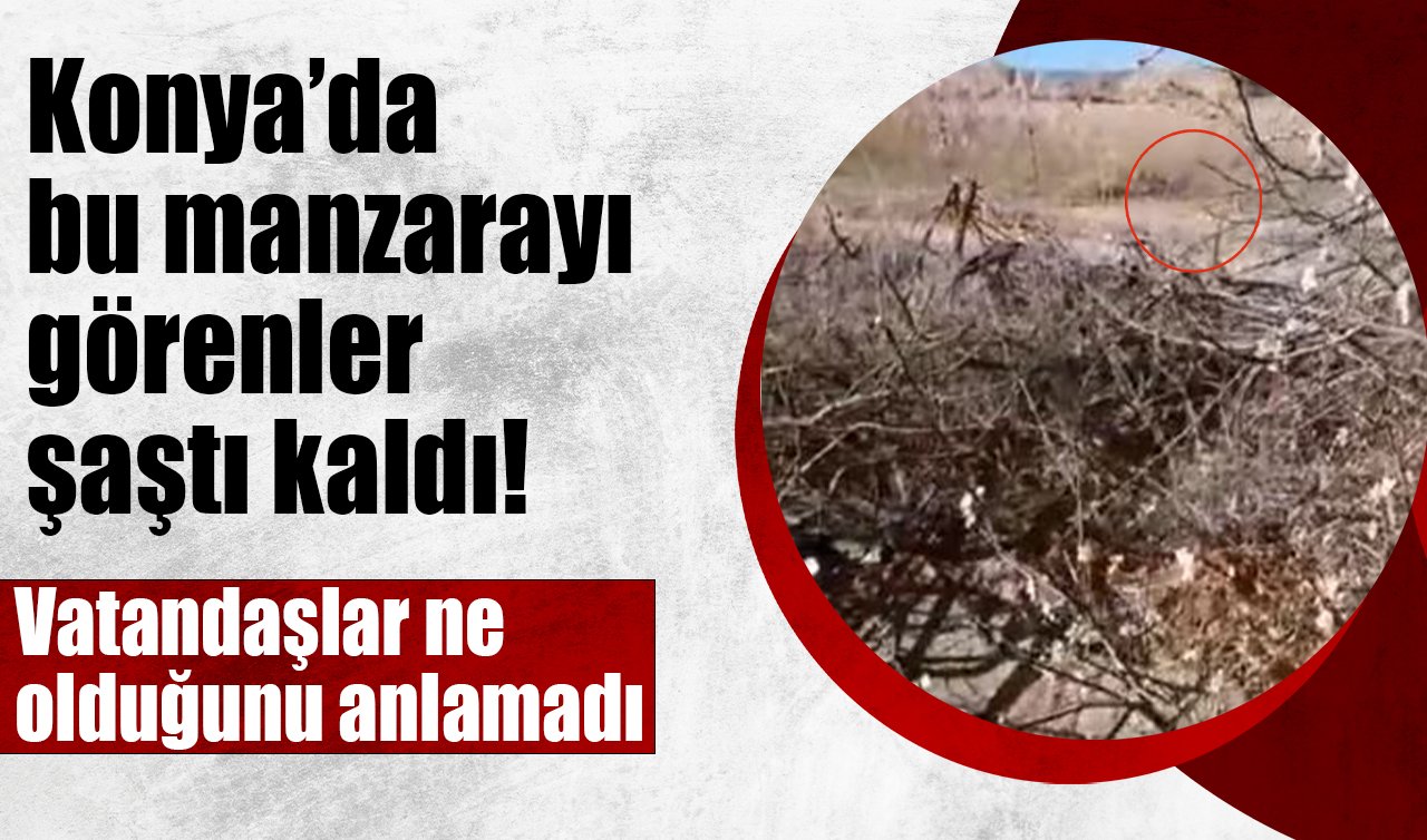 Konya’nın o ilçesinde şaşırtan görüntü! Vatandaşlar ne olduğunu anlamadı
