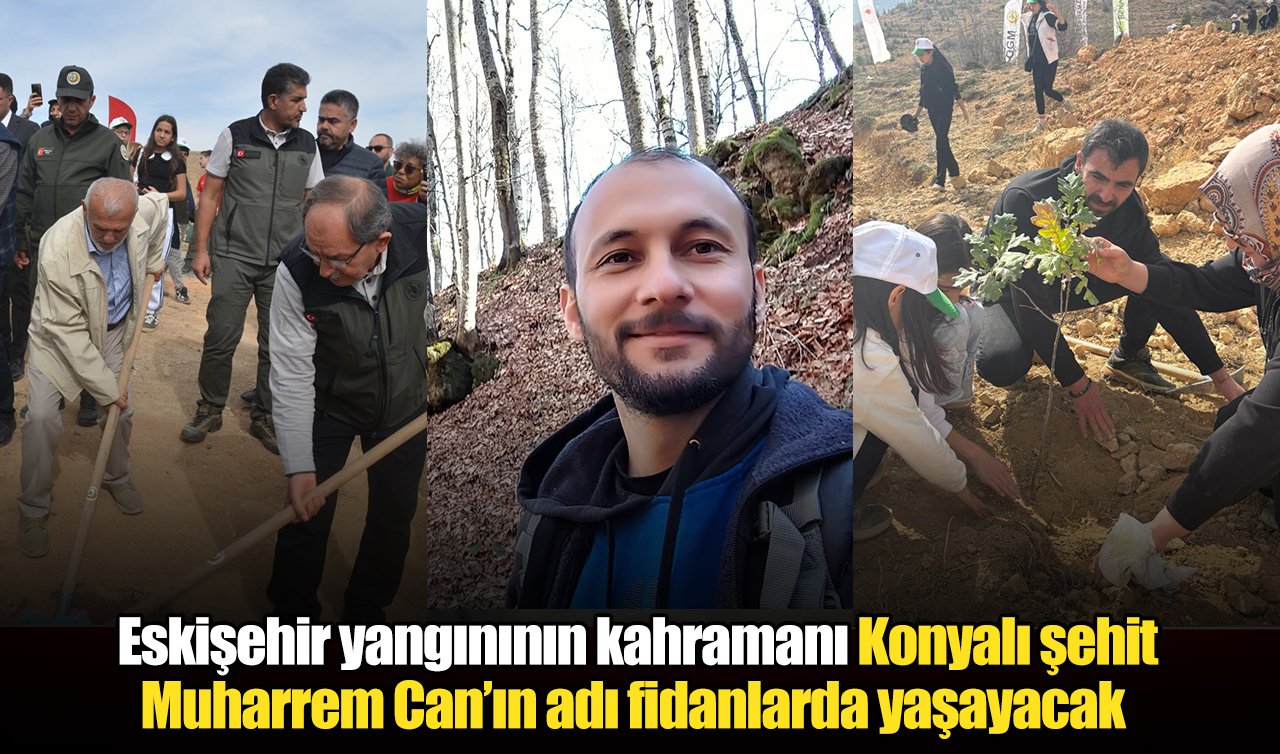 Eskişehir yangınının kahramanı Konyalı şehit Muharrem Can’ın adı fidanlarda yaşayacak