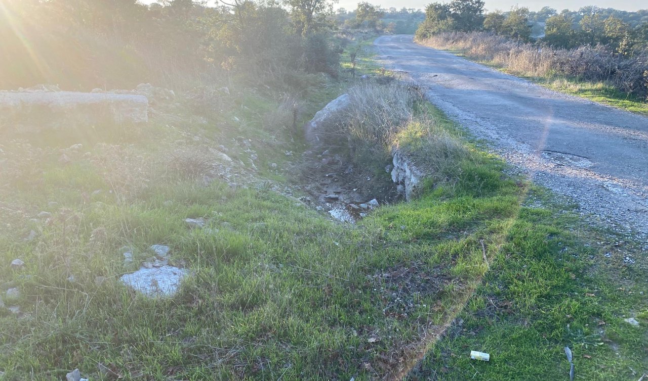 Boş arazide bebek cesedi bulundu