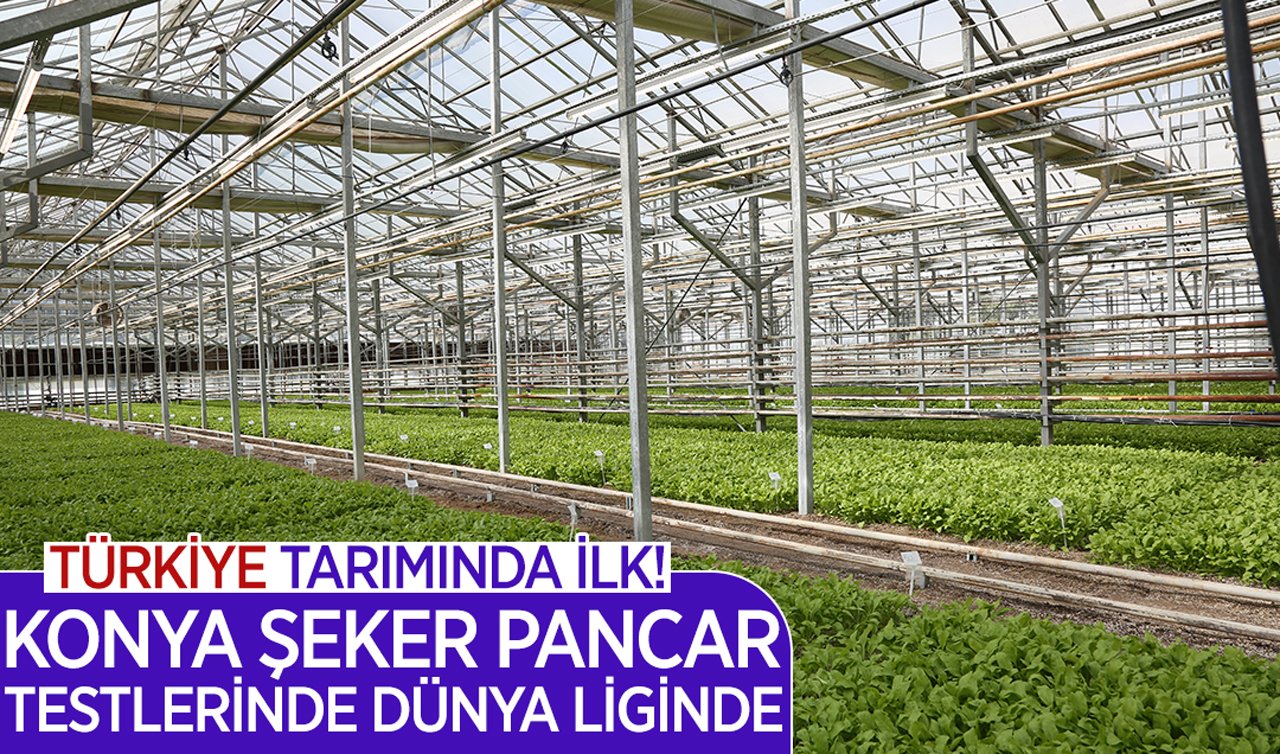 Türkiye tarımında ilk! Konya Şeker pancar testlerinde dünya liginde 
