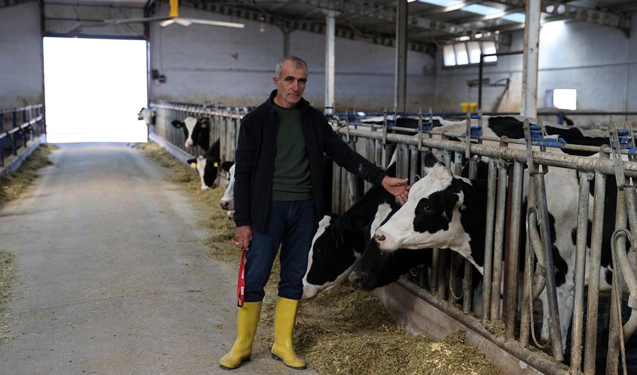 20 inekle başladı günlük 1 ton süt üretir hale geldi