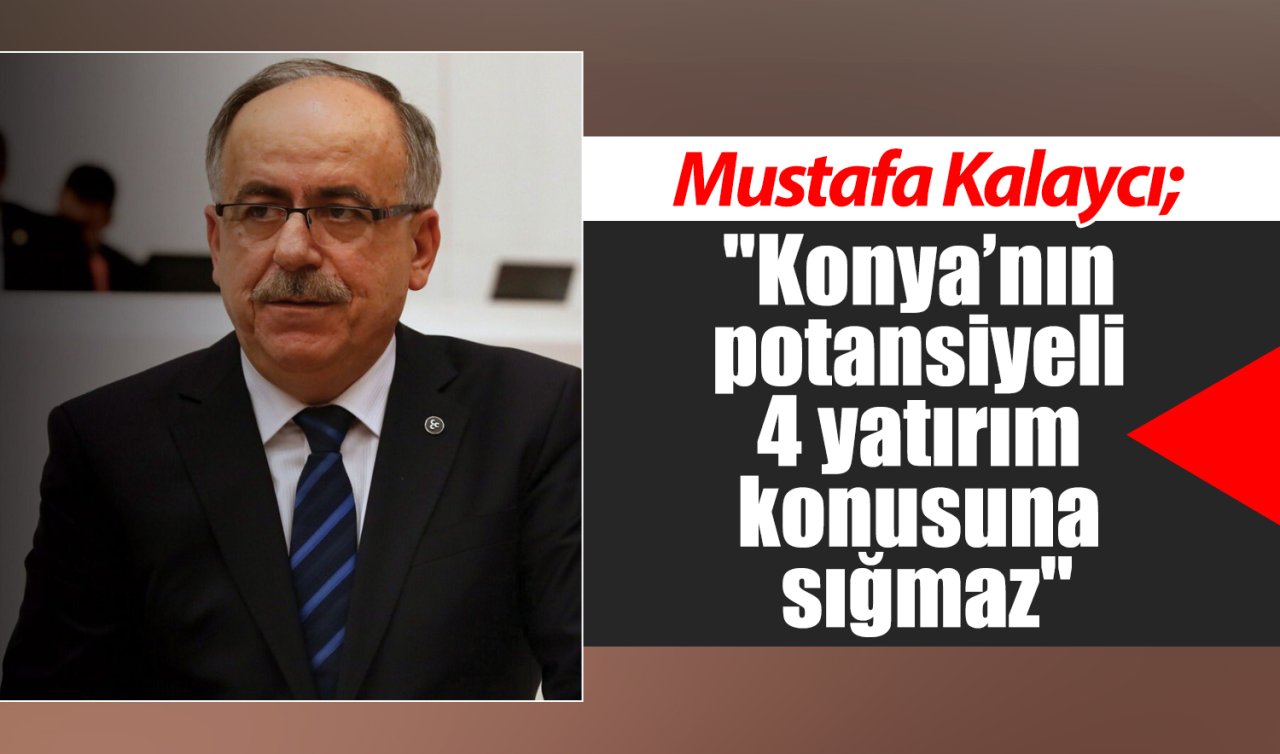 Mustafa Kalaycı: “Konya’nın potansiyeli 4 yatırım konusuna sığmaz’’