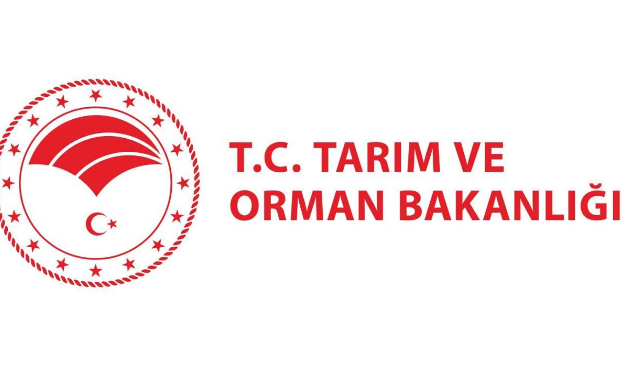 Tarım ve Orman Bakanlığı şap hastalığının kontrol altına alındığını açıkladı