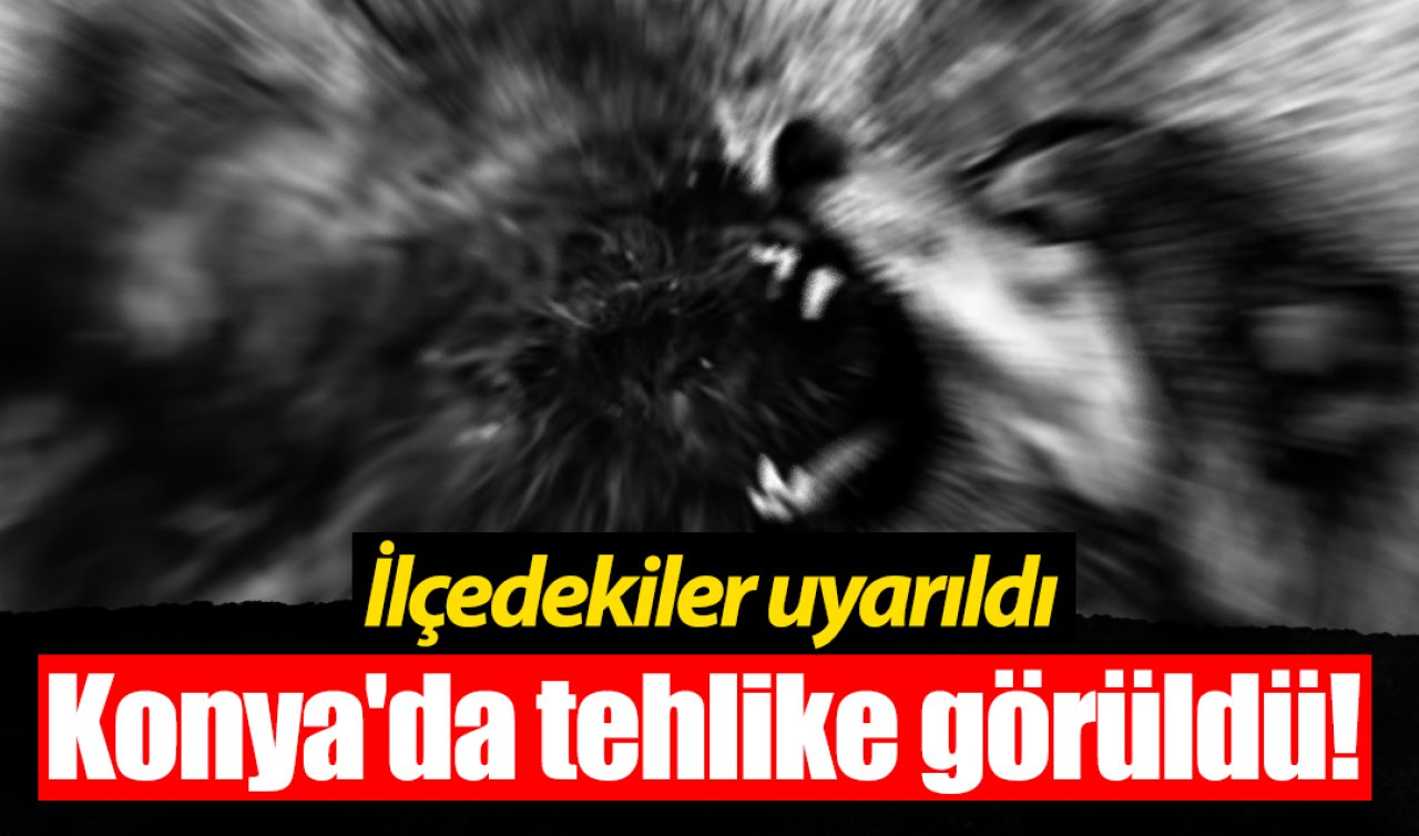 Konya’da tehlike görüldü! İlçedekiler uyarıldı 