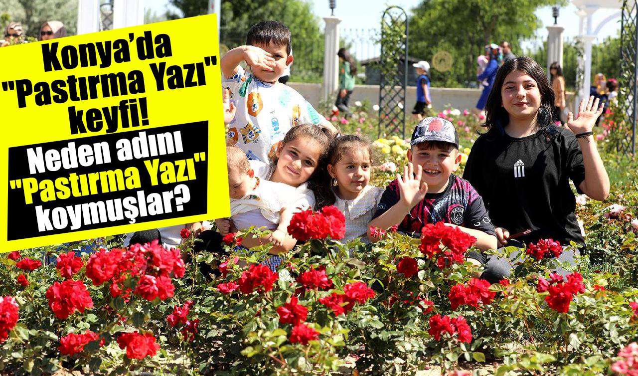 Konya’da “Pastırma Yazı’’ keyfi! Neden adını “Pastırma Yazı’’ koymuşlar? 