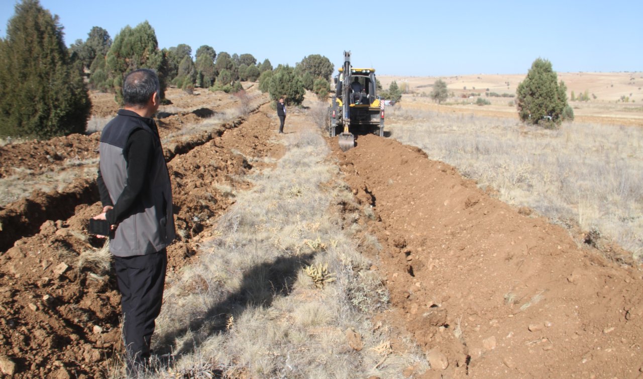 Beyşehir’de 11 bin orman fidanı daha toprakla buluşturulacak