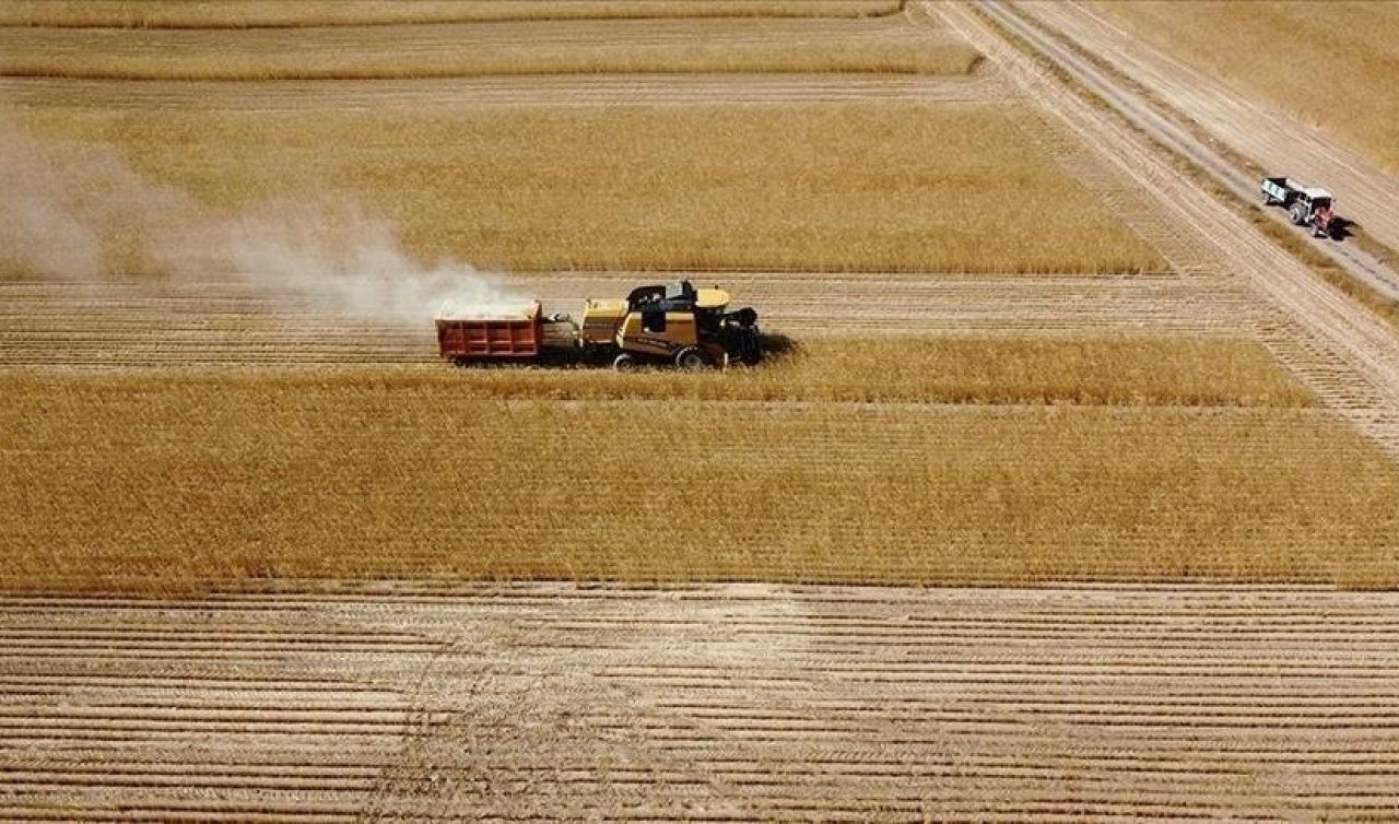 Çiftçilere 1,5 milyar liralık tarımsal destekleme ödemesi bugün yapılacak!