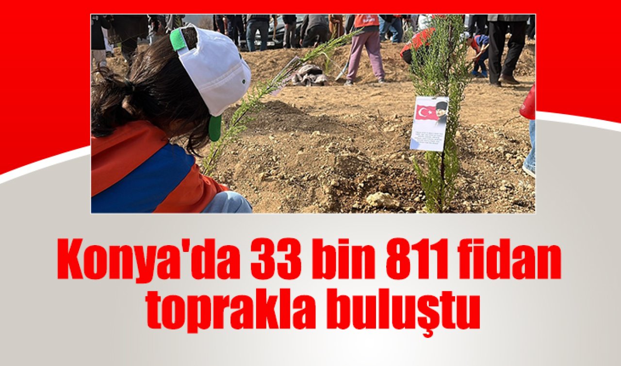 Konya’da 33 bin 811 fidan toprakla buluştu