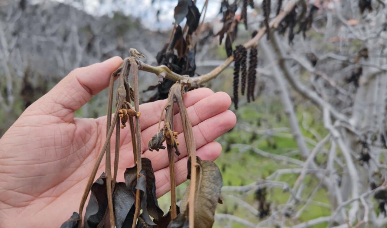  Üreticiye müjde! Hesaplarınızı kontrol edin