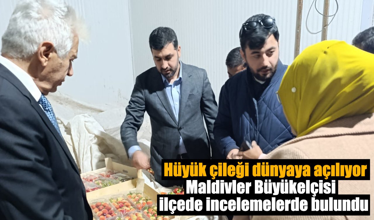 Hüyük çileği dünyaya açılıyor: Maldivler Büyükelçisi ilçede incelemelerde bulundu