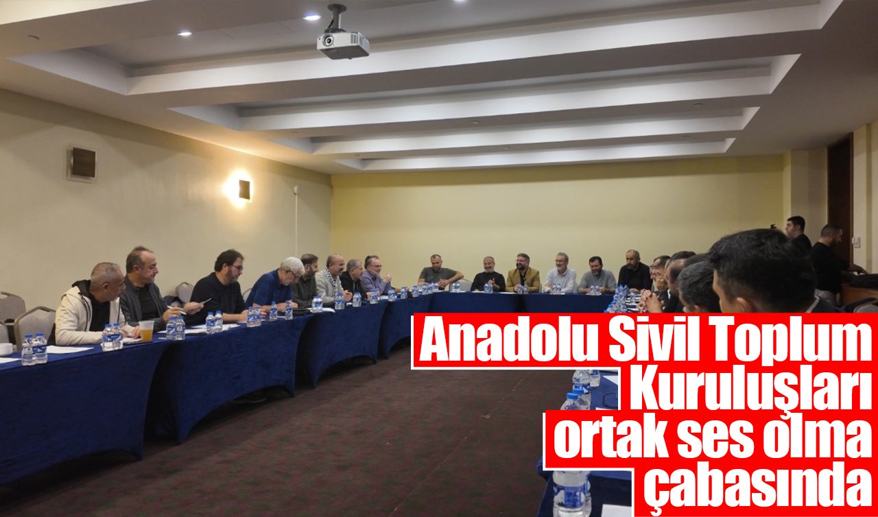 Anadolu Sivil Toplum Kuruluşları ortak ses olma çabasında