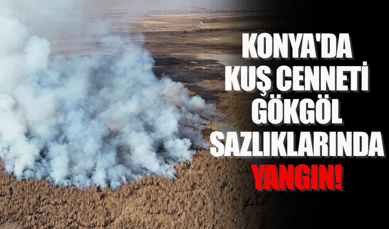 Konya’da kuş cenneti Gökgöl sazlıklarında yangın!