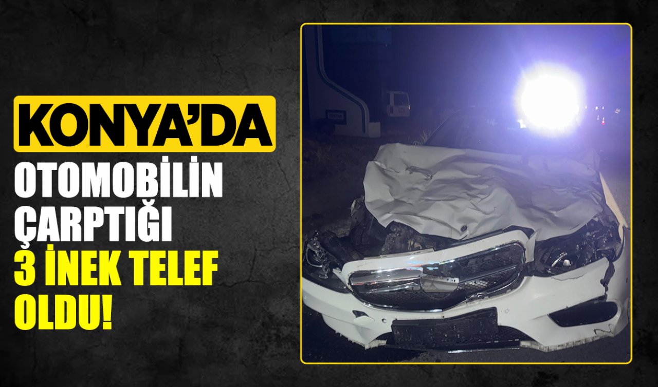 Konya’da otomobilin çarptığı 3 inek telef oldu!
