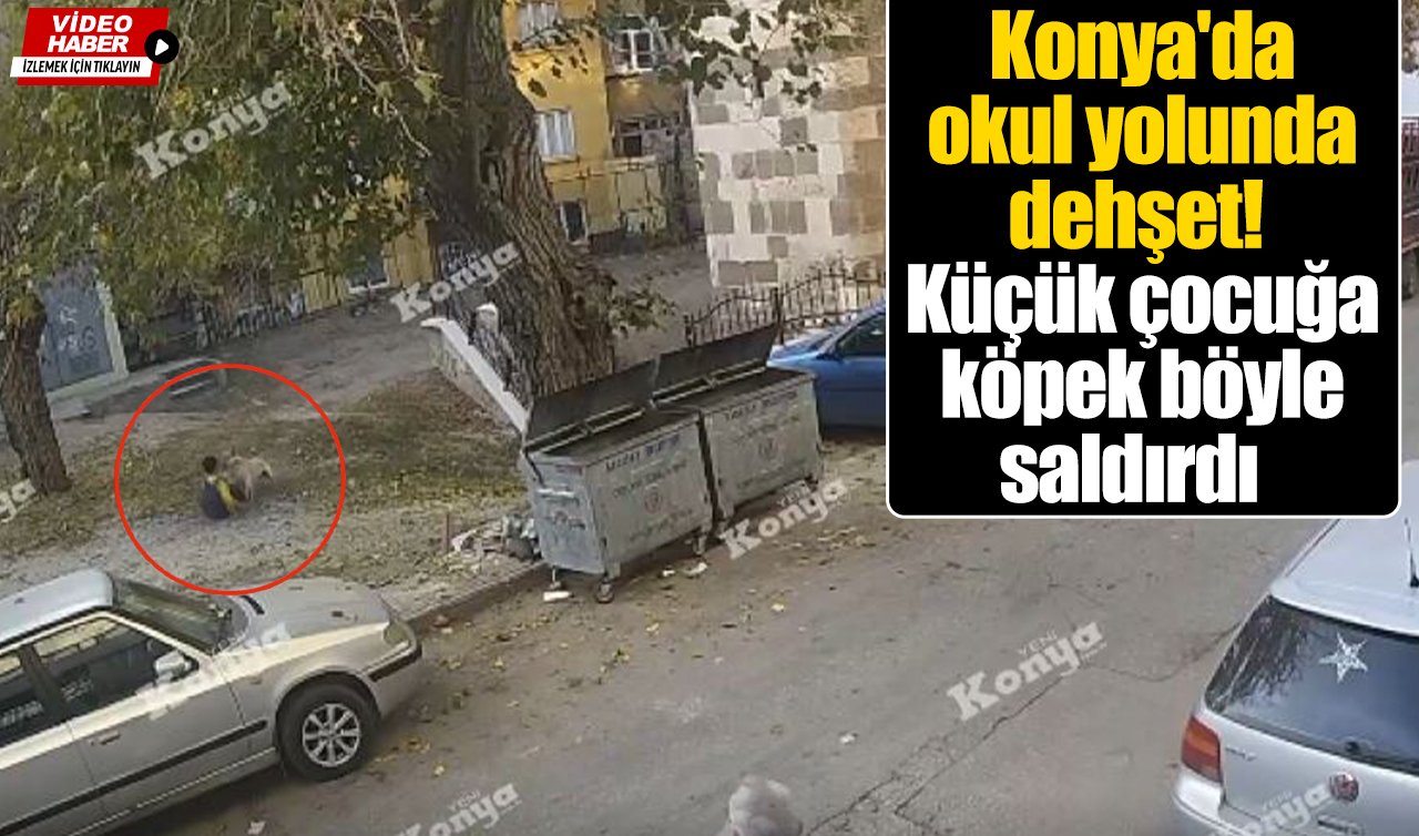  Konya’da okul yolunda dehşet! Küçük çocuğa köpek böyle saldırdı  