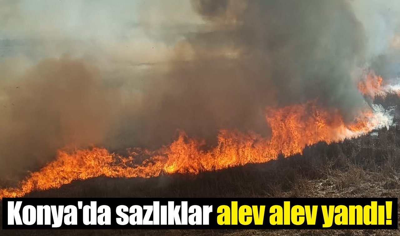  Konya’da sazlıklar alev alev yandı!