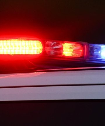 Araçla metrelerce sürüklenen köpek telef oldu: 2 gözaltı