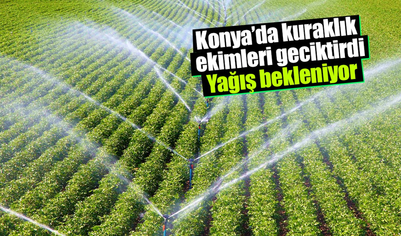 Konya’da kuraklık ekimleri geciktirdi: Yağış bekleniyor
