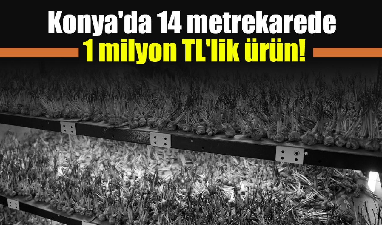 Konya’da 14 metrekarede 1 milyon TL’lik ürün! Dünyanın en pahalısı 