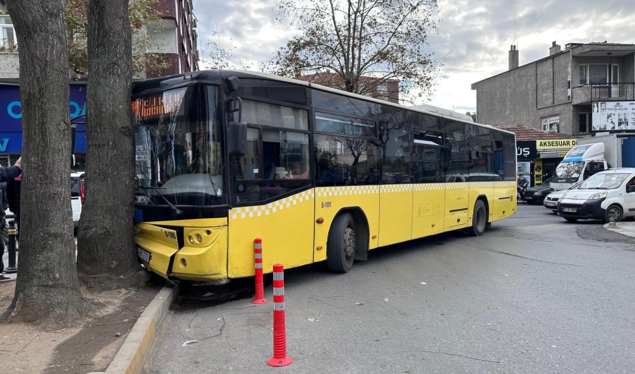 Otobüs yol kenarındaki ağaca çarptı: 1 yaralı