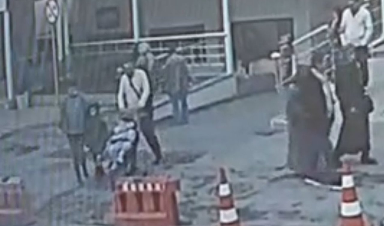 Böcek ailesine ilişkin soruşturmada yeni görüntüler ortaya çıktı