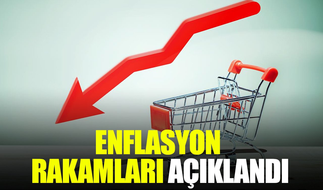 Kasım ayı enflasyon rakamları açıklandı