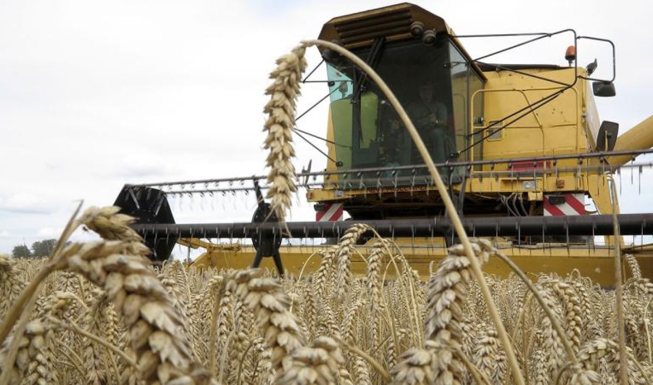  Üreticilere kasımda 376,8 milyon lira destekleme ödemesi yapıldı