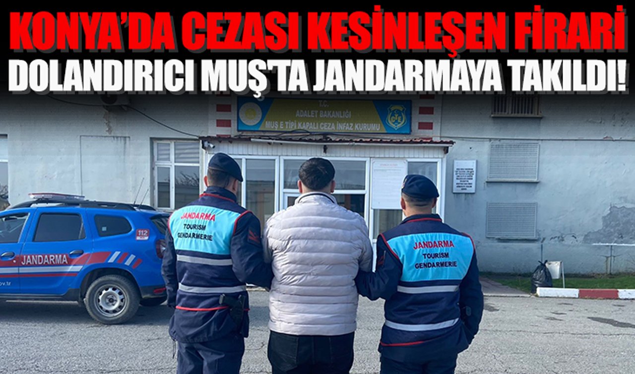  Konya’da cezası kesinleşen firari dolandırıcı Muş’ta Jandarmaya takıldı!