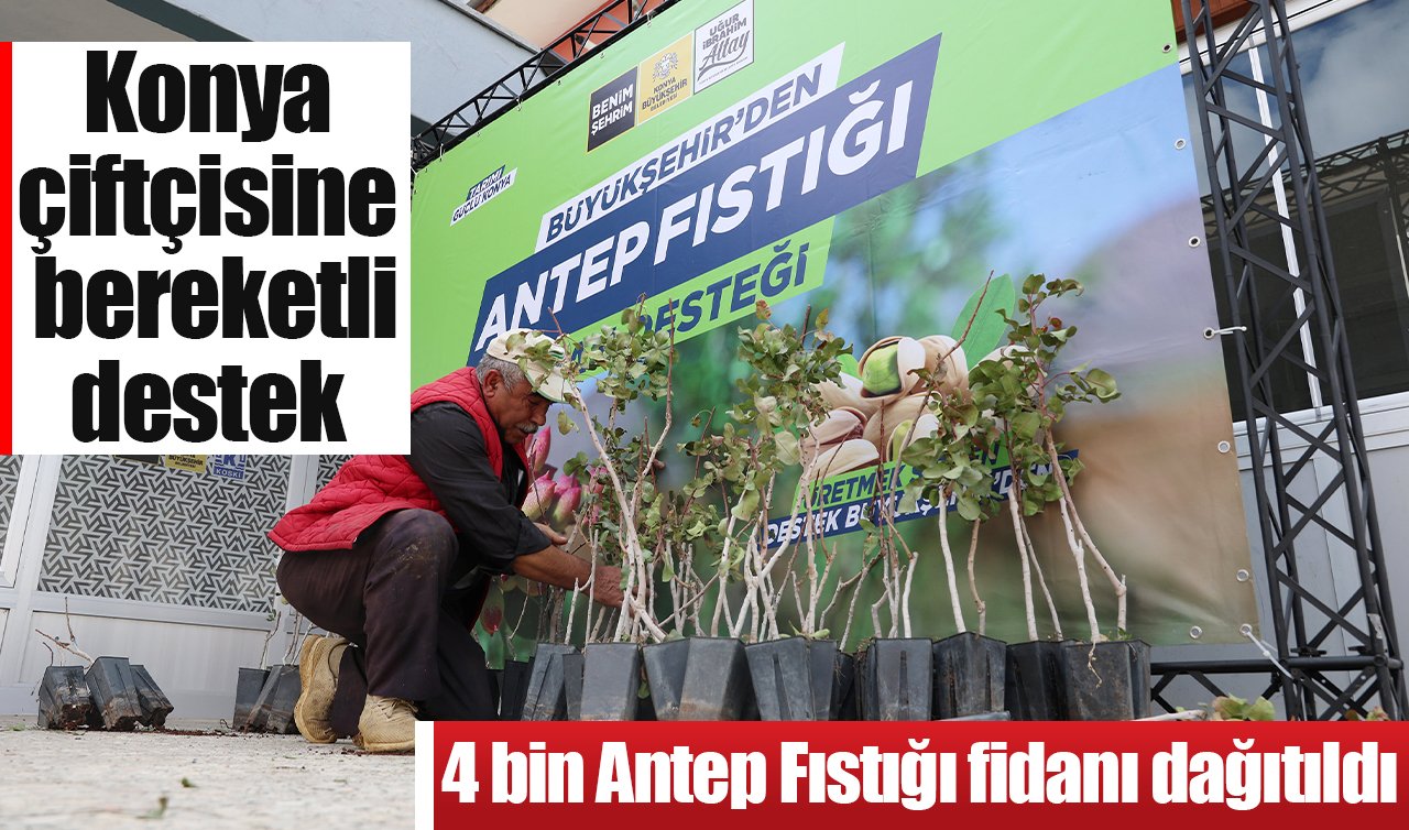Konya çiftçisine bereketli destek: 4 bin Antep Fıstığı fidanı dağıtıldı